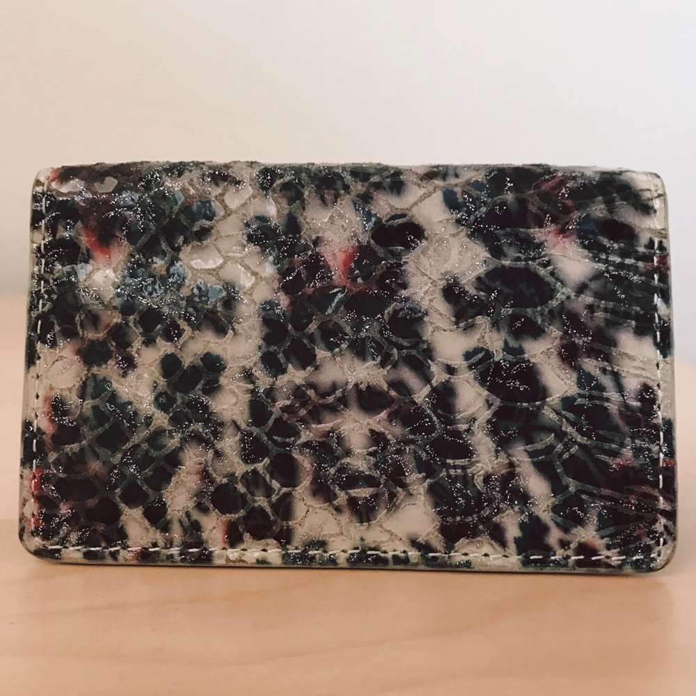 LODIS card case